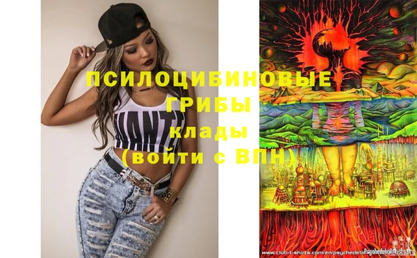 стаф Заволжье