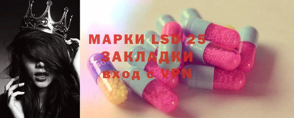 спиды Заводоуковск