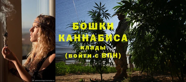 винт Елизово