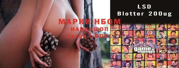 стаф Заволжье