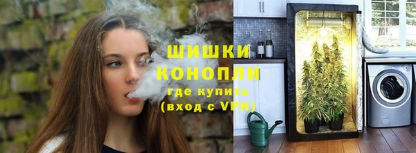 винт Елизово