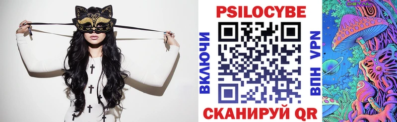 Псилоцибиновые грибы Psilocybe  Купить закладки  Серов 